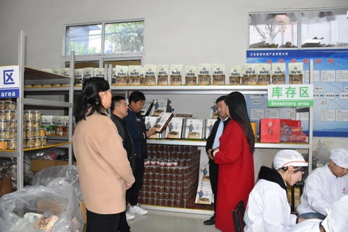 文縣電商中心負責人深入一線，檢查指導電商協會及企業運營，力促農副產品銷售再上新臺階