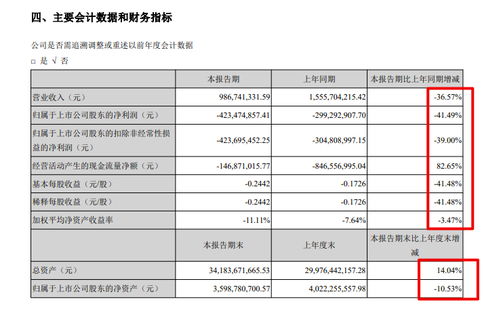南國置業(yè)半年報分析 毛利率28.7%但仍虧損4.23億，物業(yè)管理業(yè)態(tài)承壓